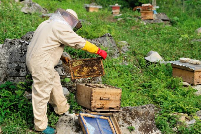重慶太一生物利用智慧農業技術全程溯源