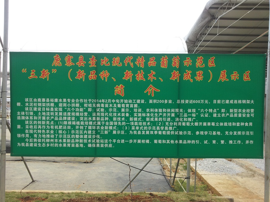 柳州鹿寨現(xiàn)代精品葡萄示范園,感受智慧農(nóng)業(yè)的精準(zhǔn)高效