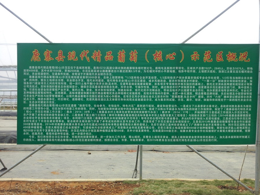 柳州鹿寨現(xiàn)代精品葡萄示范園,感受智慧農(nóng)業(yè)的精準(zhǔn)高效