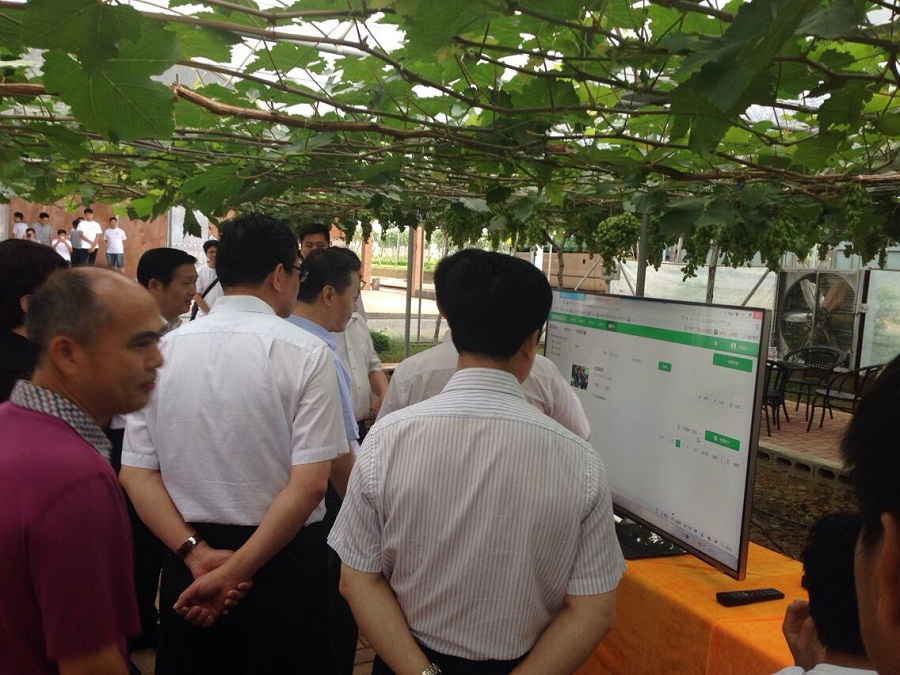 柳州鹿寨現(xiàn)代精品葡萄示范園,感受智慧農(nóng)業(yè)的精準(zhǔn)高效