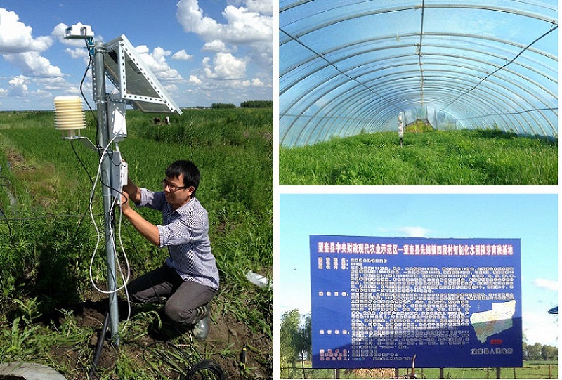 黑龍江龍蛙農業拿起智慧農業溯源利器,打造中國可追溯訂單農業第一品牌