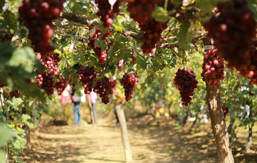 現(xiàn)場(chǎng)