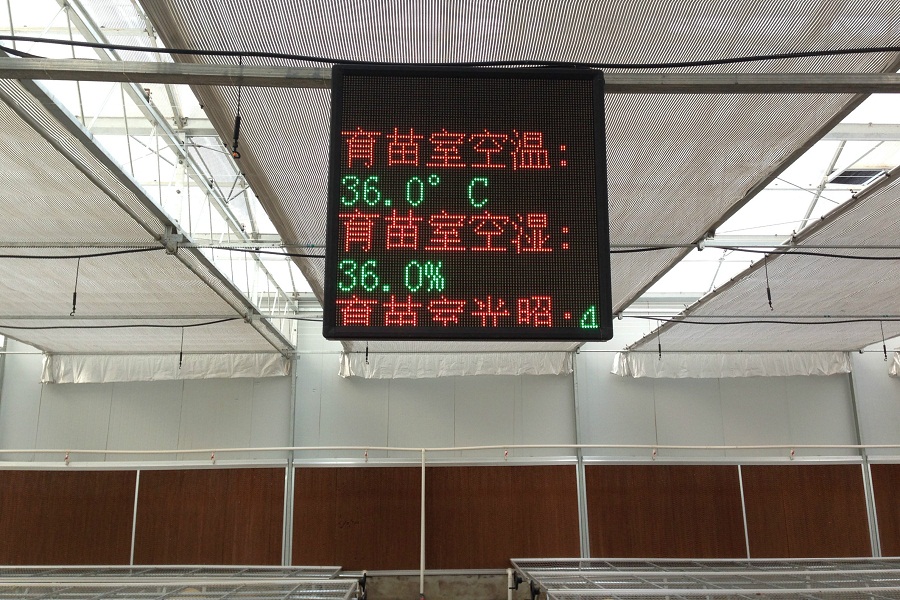 山東魯蒙采用智慧農業技術實現蔬菜育苗精準化、智能化