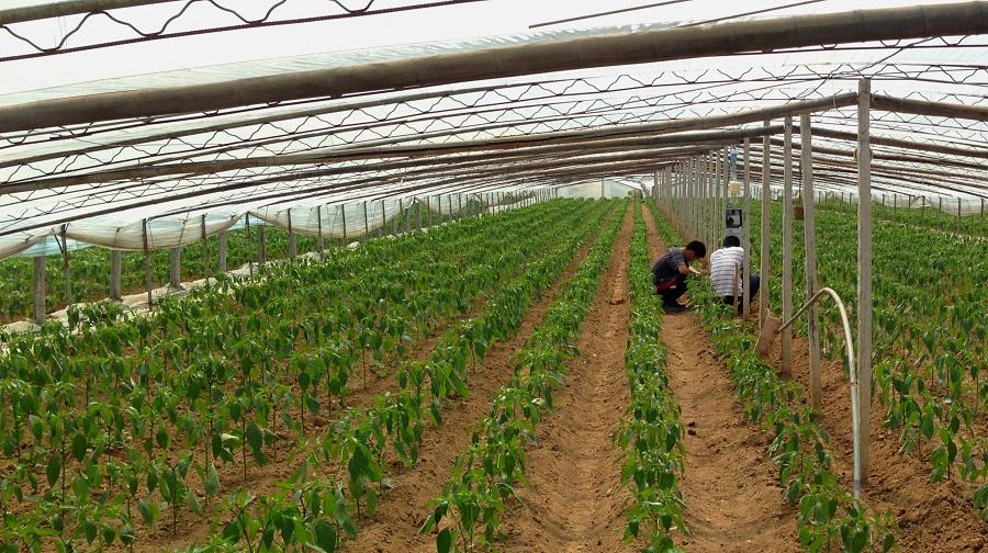 客戶和李正在交流