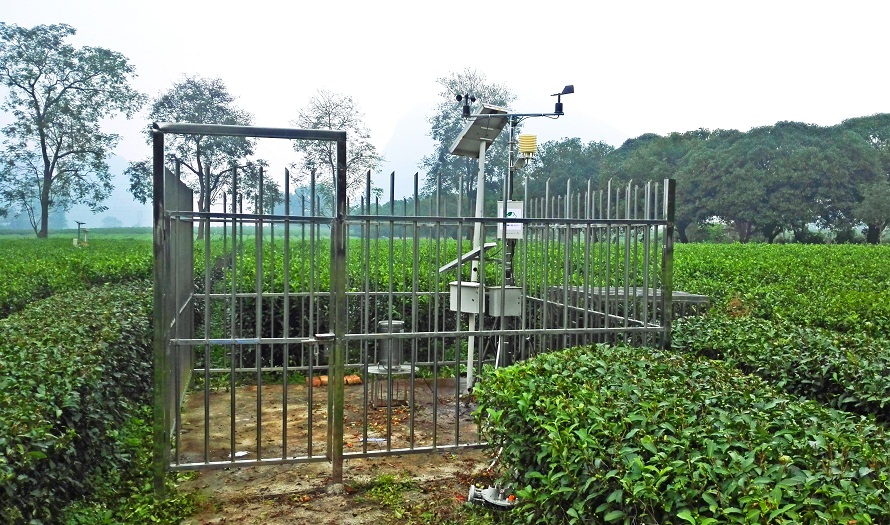 廣西桂林茶葉研究所借助智慧農(nóng)業(yè)技術(shù)開(kāi)展精細(xì)化種植