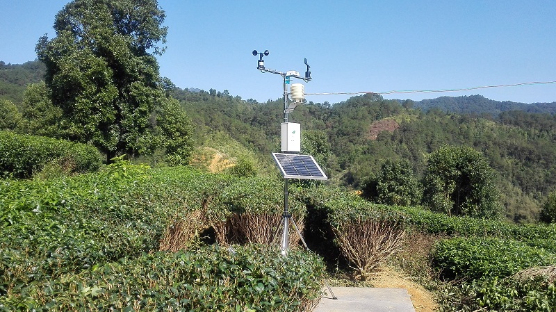 千年茶葉之鄉(xiāng)利用智慧農(nóng)業(yè)進(jìn)行精細(xì)種植管理