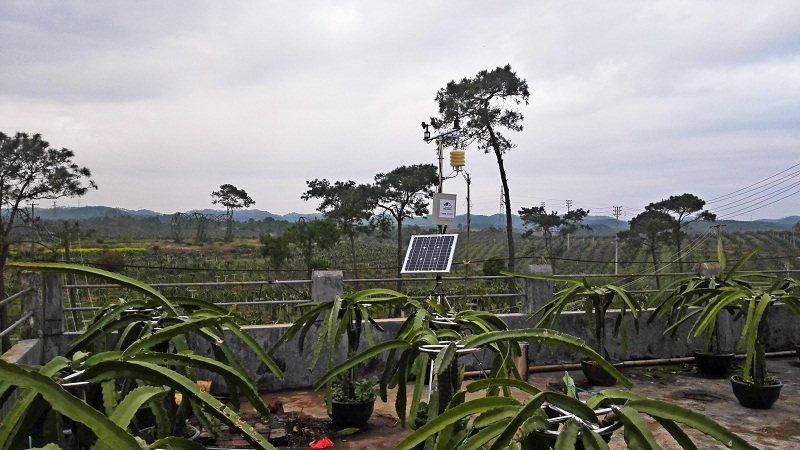 天潤智力智慧農(nóng)業(yè)解決方案,為首個火龍果標準化生產(chǎn)體系提供智能化監(jiān)控