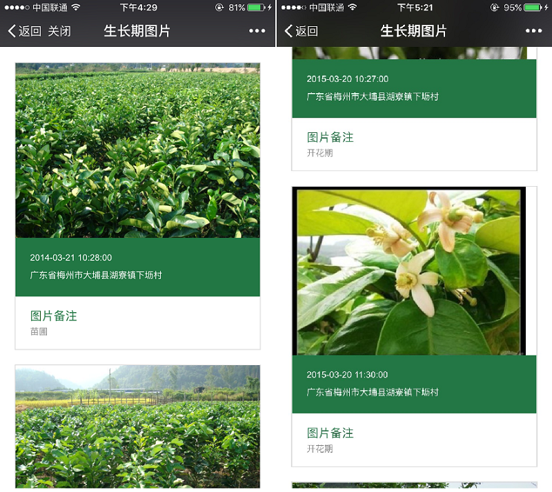 廣東農業(yè)百強企業(yè)開展智慧農業(yè)示范,農產品溯源