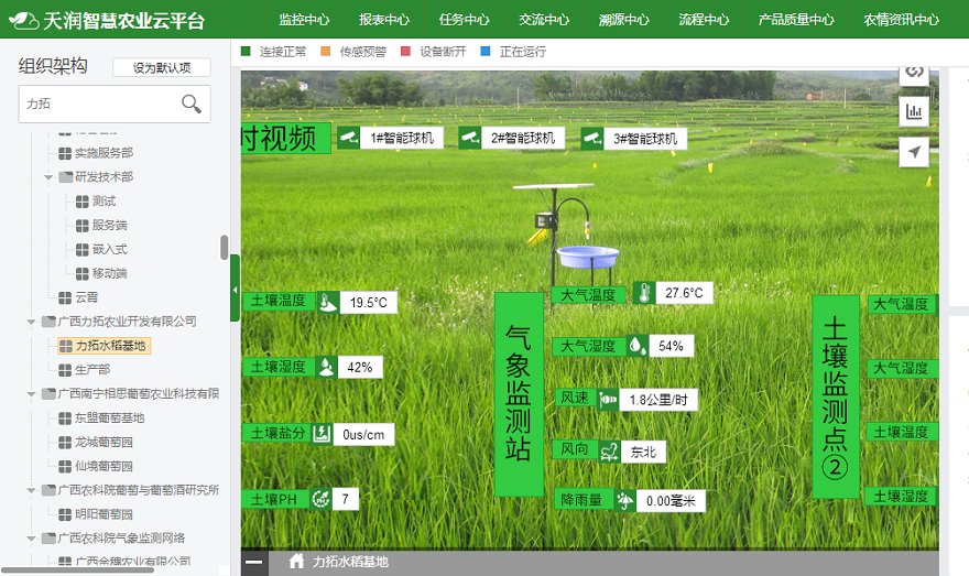 廣西力拓農業利用智慧農業技術,全程把控水稻種植