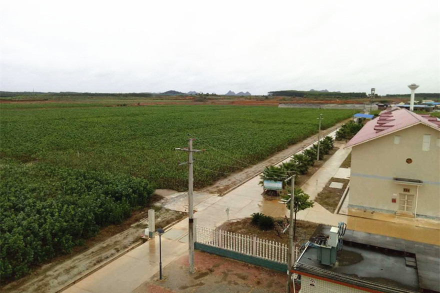 世界最大桑蠶繁育基地,智慧農業標準化養蠶,節能增效