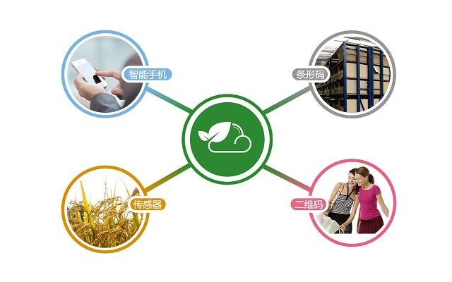 大米安全事件頻出,而他們家的水稻卻能全程溯源,從源頭把控品質