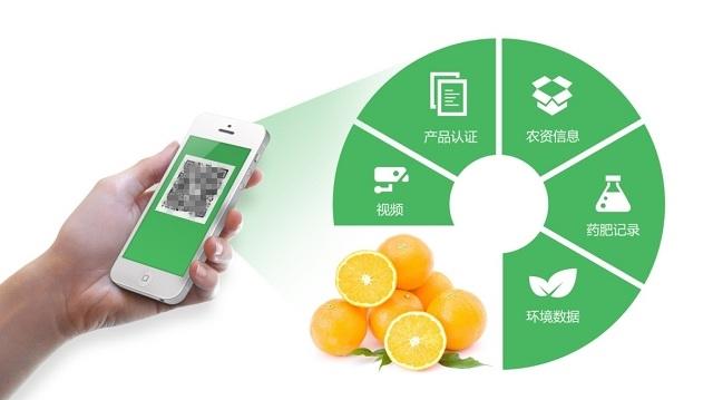 大米安全事件頻出,而他們家的水稻卻能全程溯源,從源頭把控品質