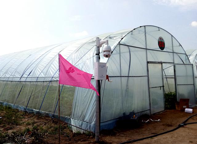 中國薯網攜手天潤智力,開啟馬鈴薯種薯智能種植