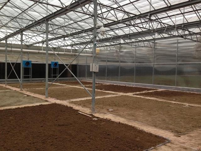 專注于科研的華大基因科技,也受益于智能監控帶來的精準與高效