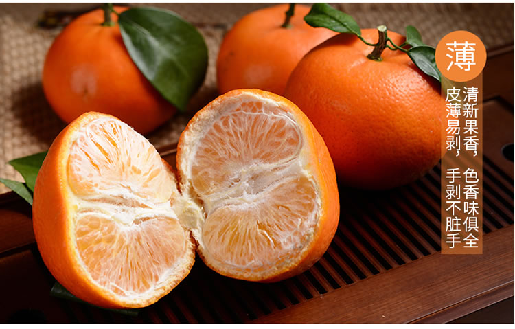 廣西沃柑利用智慧農業助力精細品控 廣西沃柑利用智慧農業助力精細品控