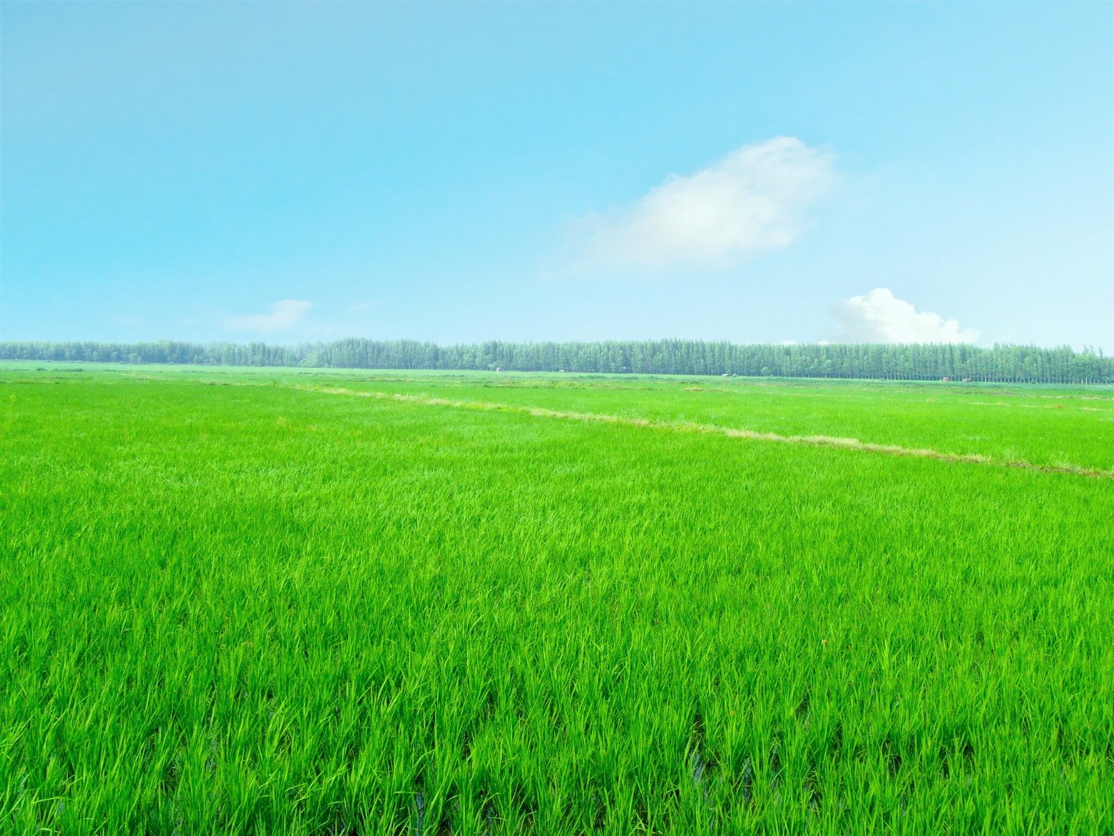 綠水青山就是金山銀山,“智慧農業”、“農業物聯網”正為生態農業架起保護網 綠水青山就是金山銀山,“智慧農業”、“農業物聯網”正為生態農業架起保護網