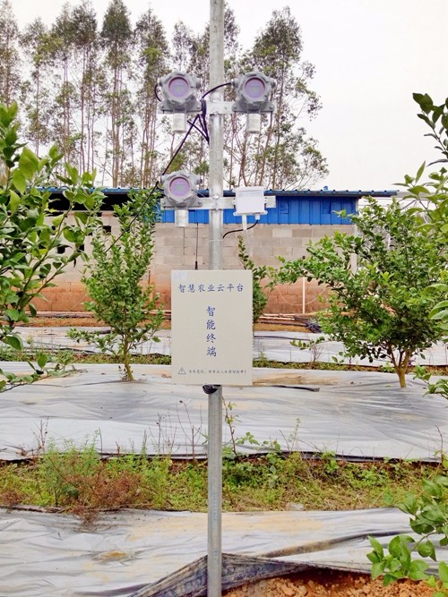 綠水青山就是金山銀山,“智慧農業”、“農業物聯網”正為生態農業架起保護網 綠水青山就是金山銀山,“智慧農業”、“農業物聯網”正為生態農業架起保護網