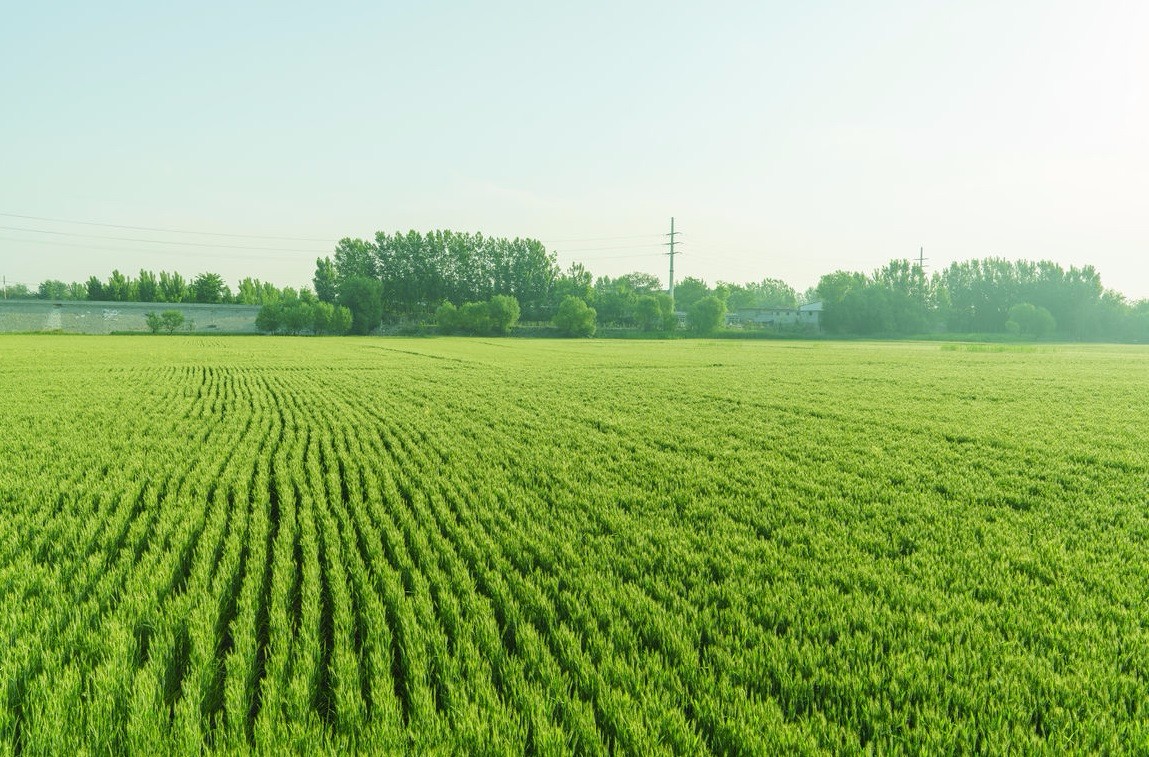 vʷӛĿyS^ǻrIĿ܇ɞһ