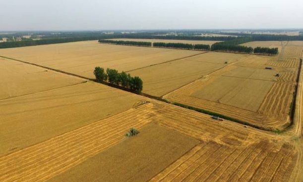 vʷӛĿyS^ǻrIĿ܇ɞһ