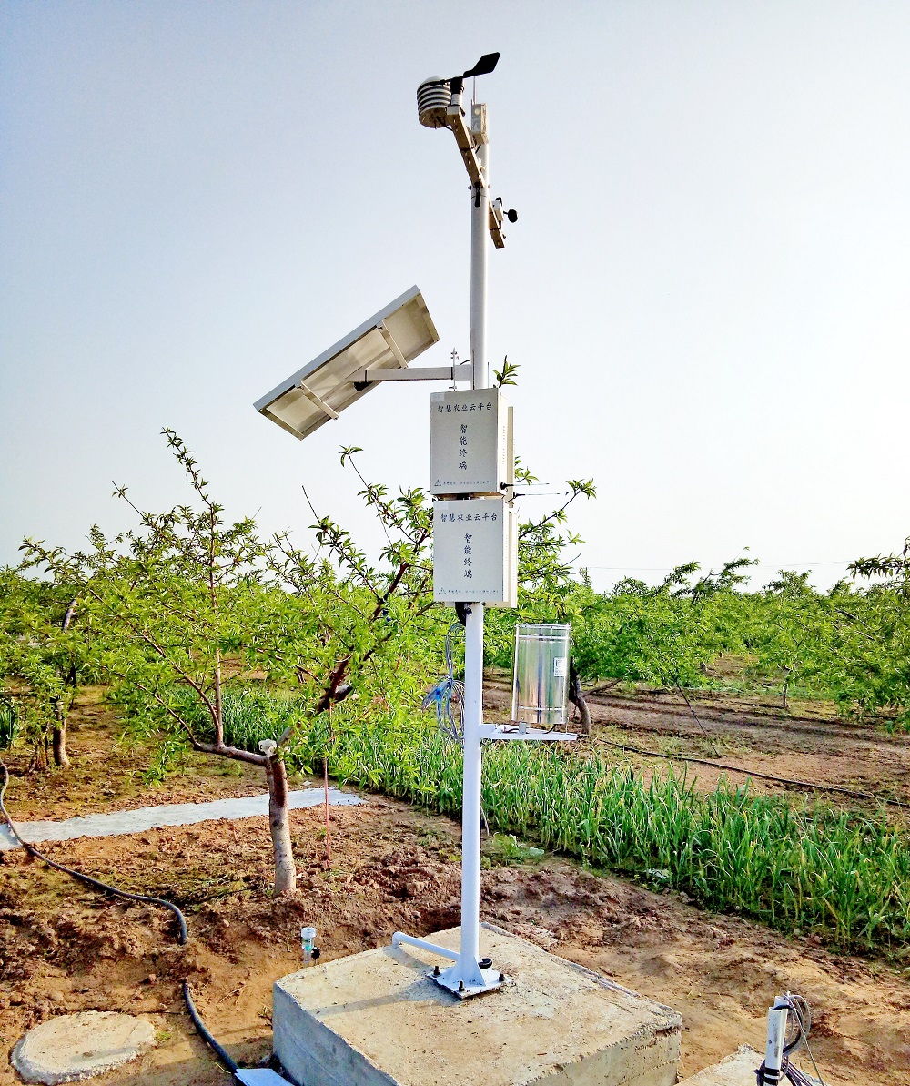 vʷӛĿyS^ǻrIĿ܇ɞһ