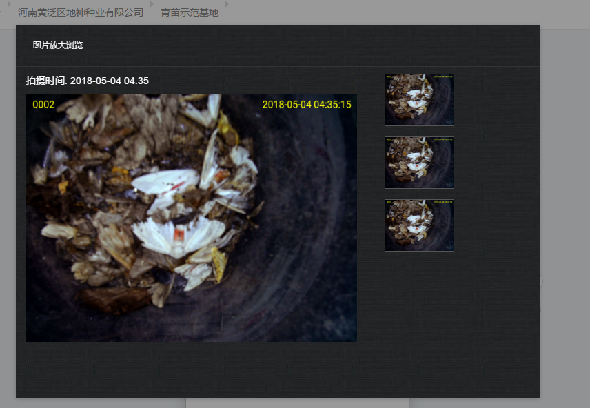 vʷӛĿyS^ǻrIĿ܇ɞһ