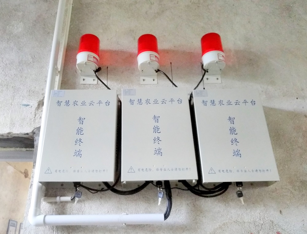 vʷӛĿyS^ǻrIĿ܇ɞһ