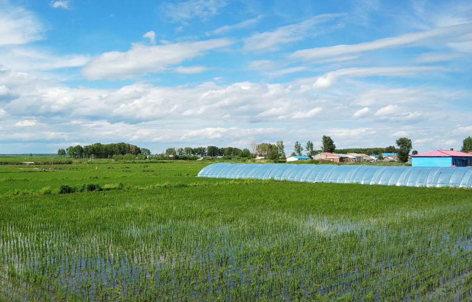 黑龍江水云科技引入智慧農業技術,進行生產示范 黑龍江水云科技引入智慧農業技術,進行生產示范