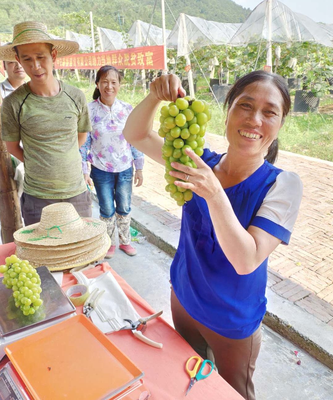 읙ѹܼҷؚʾء|mhɽ^ꖹõш@һժ
