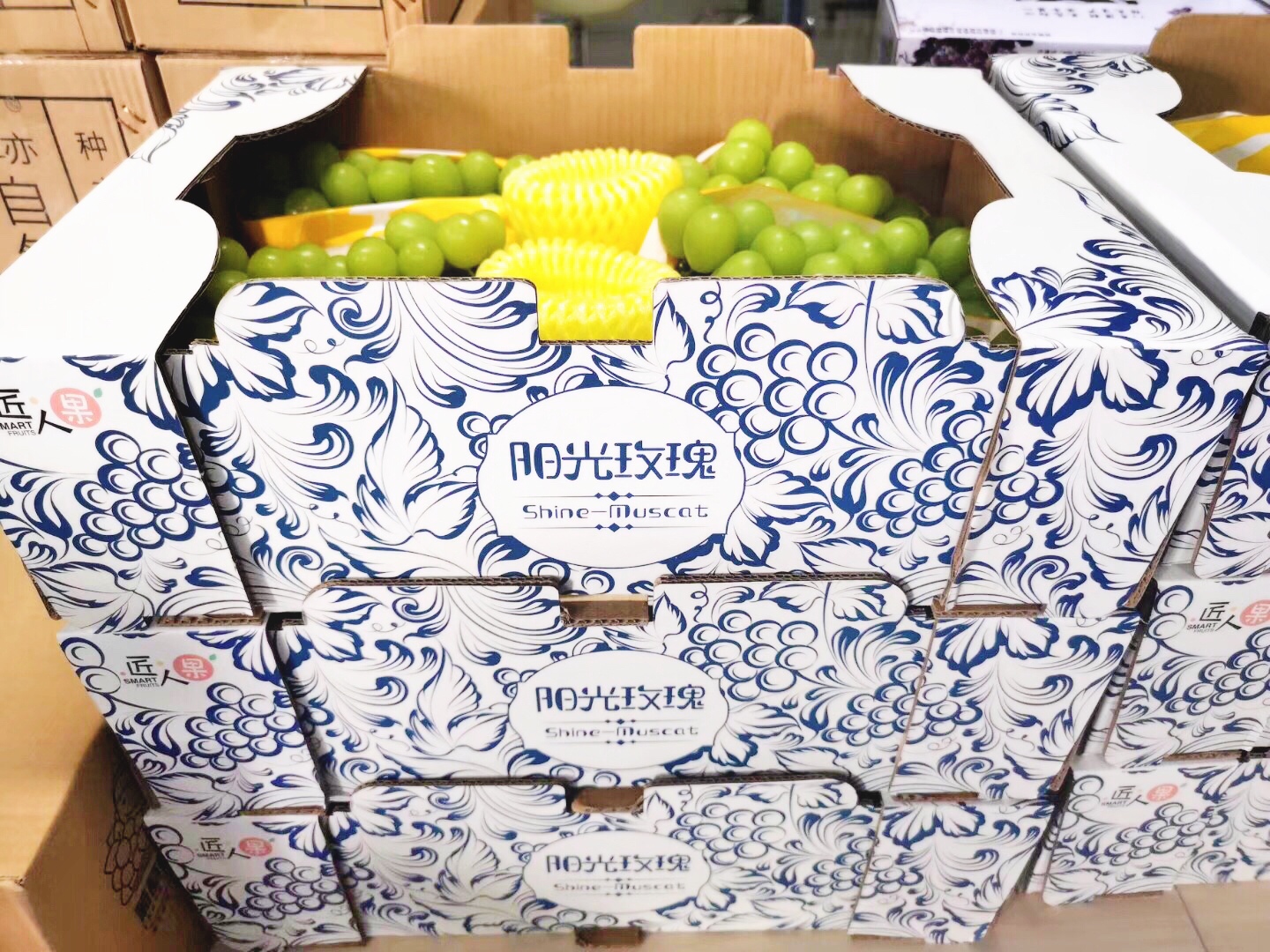 天潤智力生產實驗基地從種到銷,高品質陽光玫瑰上架香港商超 天潤智力生產實驗基地從種到銷,高品質陽光玫瑰上架香港商超