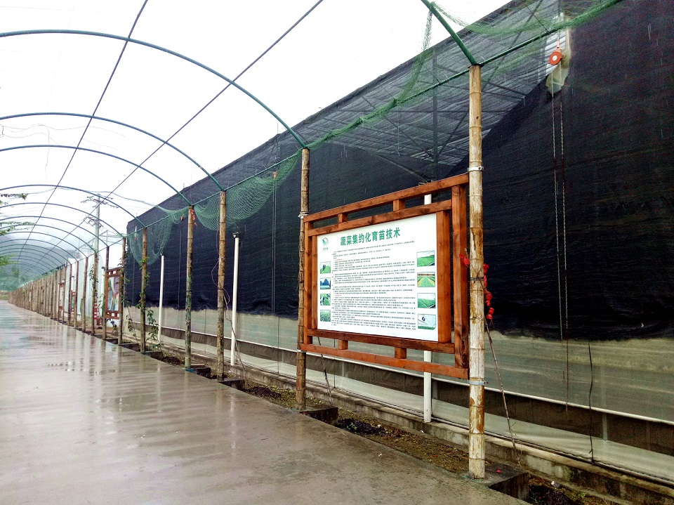 溫室蔬菜育苗中心 溫室蔬菜育苗中心