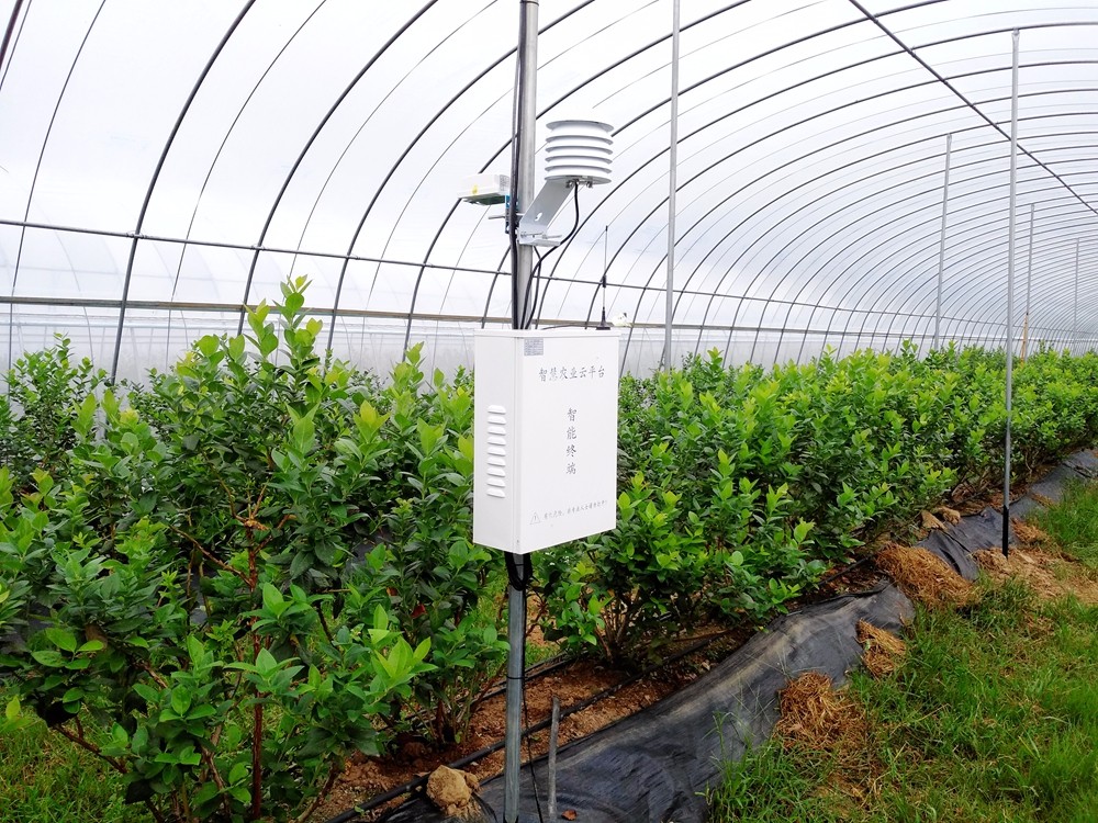 2017.08 曲靖創想項目-窩郎基地 2017.08 曲靖創想項目-窩郎基地