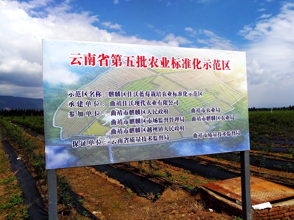 曲靖創想項目-越州基地 (3)_副本.jpg 曲靖創想項目-越州基地