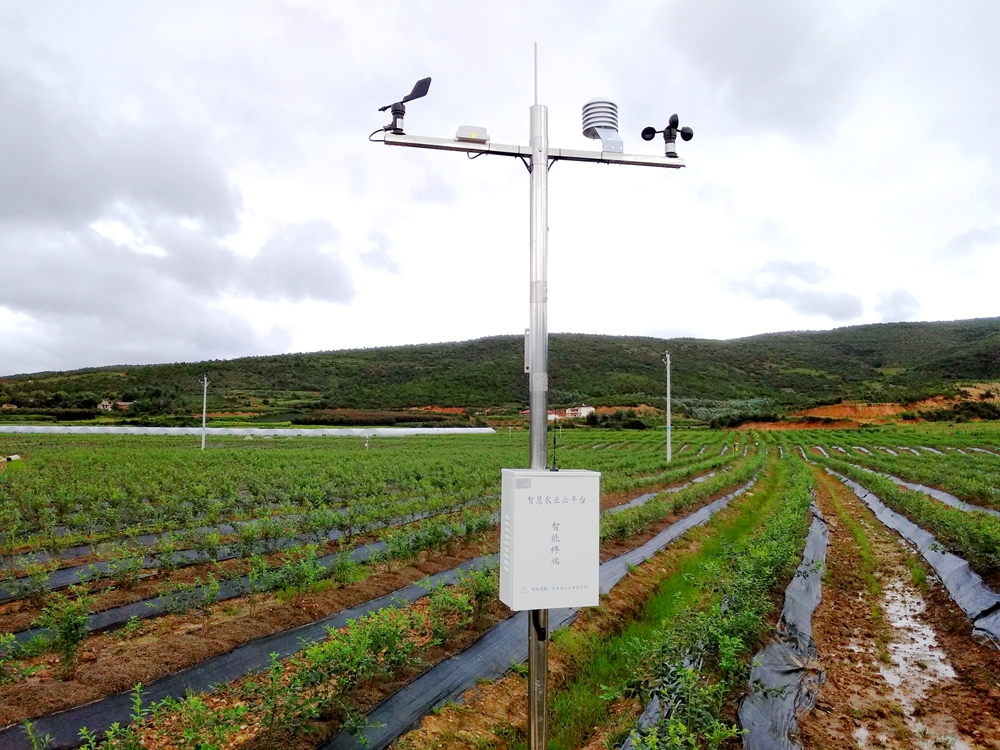 曲靖創想項目-窩郎基地 曲靖創想項目-窩郎基地
