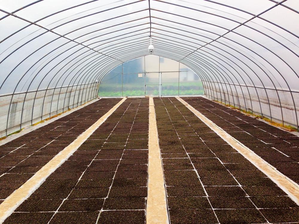 云端號大數據平臺 遵義蝦子鎮 云端號大數據平臺 遵義蝦子鎮