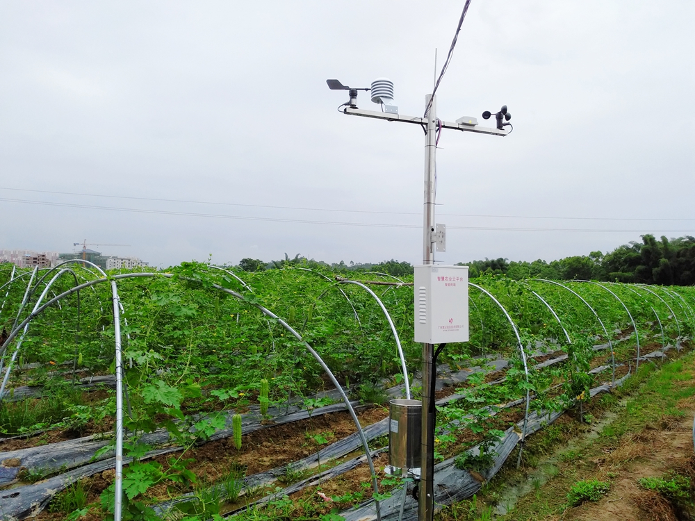 賀州正豐農(nóng)業(yè) 賀州正豐農(nóng)業(yè)