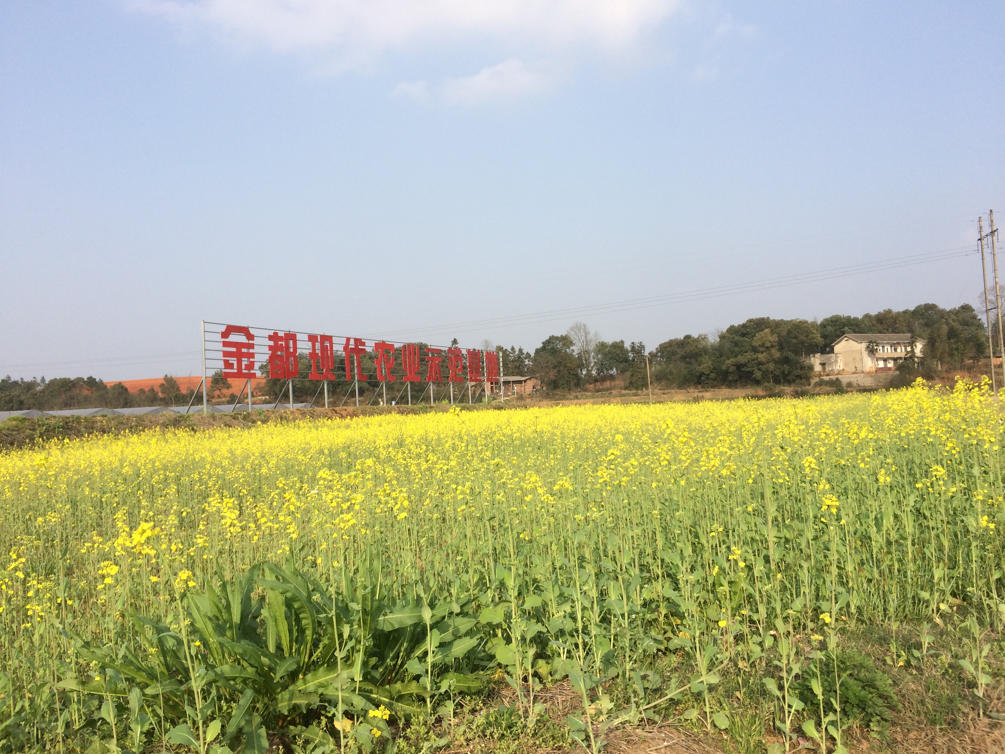 𶼬FrIИI߲˘˜ʈ@ǻrIȫ̰ȫԴ