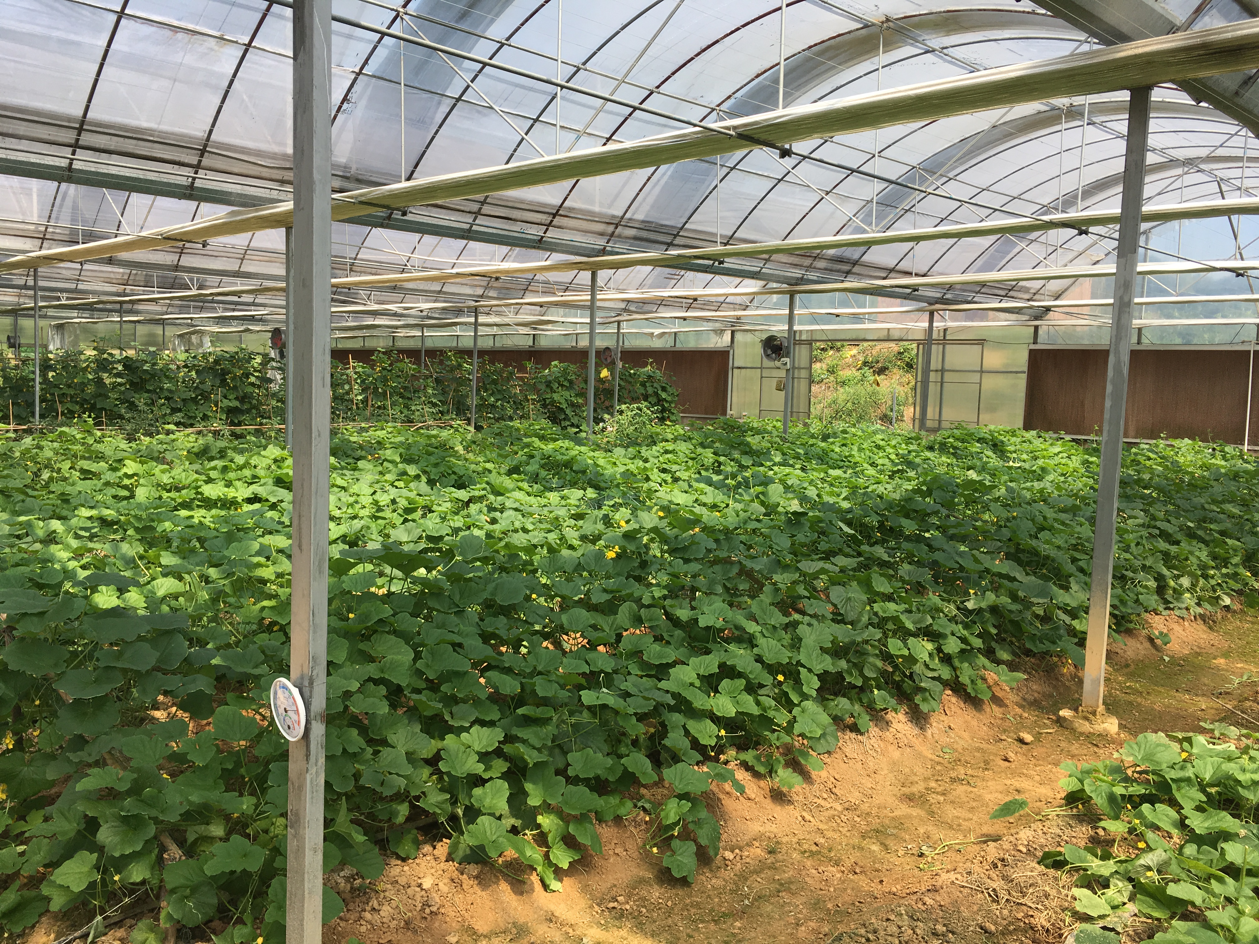 𶼬FrIИI߲˘˜ʈ@ǻrIȫ̰ȫԴ