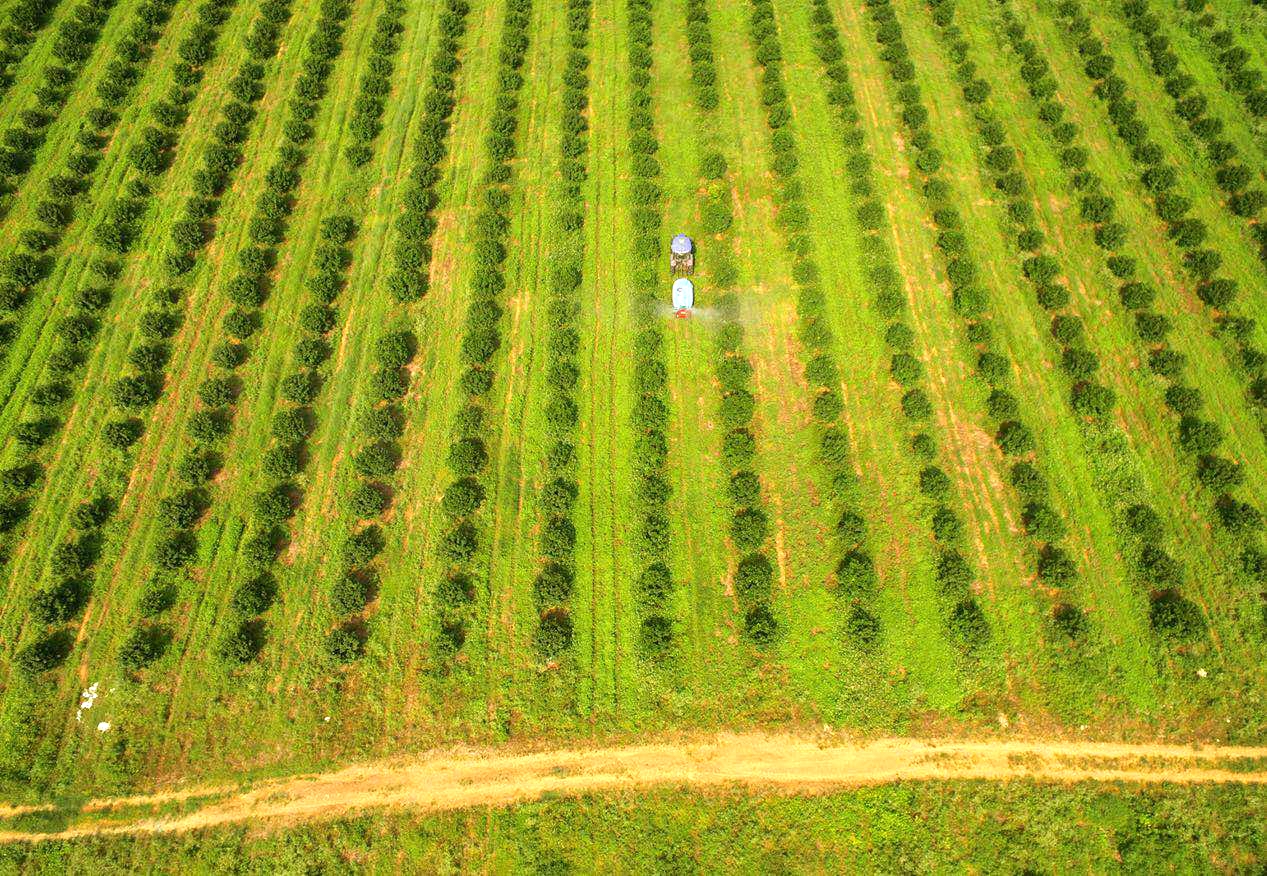 什么是智慧農業? 什么是智慧農業?