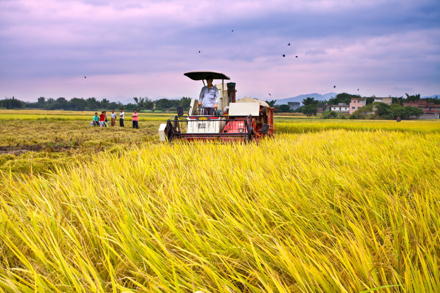 什么是智慧農業?——天潤智力的服務基地成功示范 什么是智慧農業?——天潤智力的服務基地成功示范