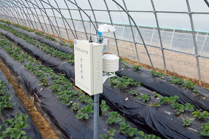 “天使美莓”顏值與實力并存的背后,是堅定不移的標準化理念 “天使美莓”顏值與實力并存的背后,是堅定不移的標準化理念