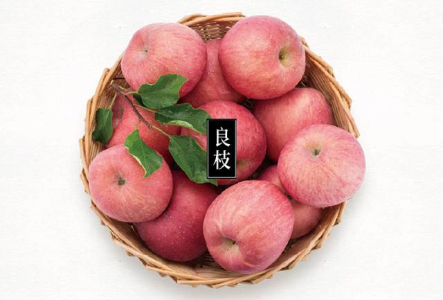 “良枝”蘋果的熱銷背后,是對種植管理標準的恪守 “良枝”蘋果的熱銷背后,是對種植管理標準的恪守