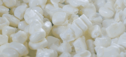 “微玉水果玉米”不僅是味蕾的創新,更是標準種植管理的升級 “微玉水果玉米”不僅是味蕾的創新,更是標準種植管理的升級