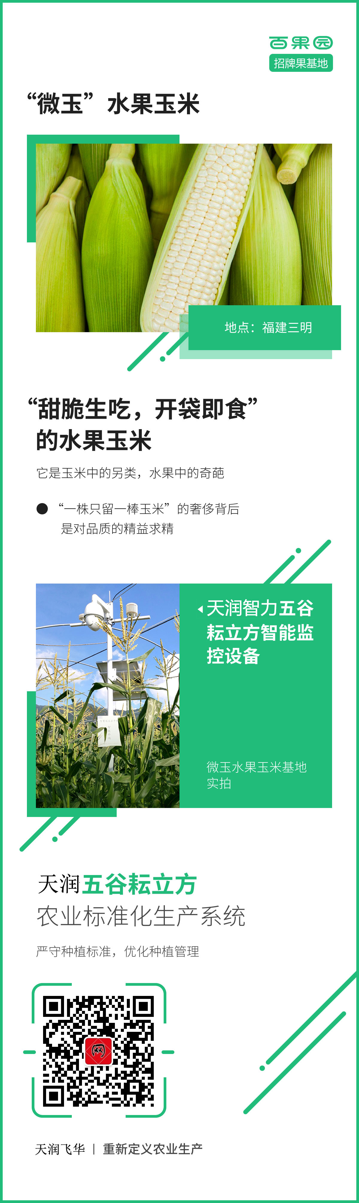 “微玉水果玉米”不僅是味蕾的創新,更是標準種植管理的升級 “微玉水果玉米”不僅是味蕾的創新,更是標準種植管理的升級