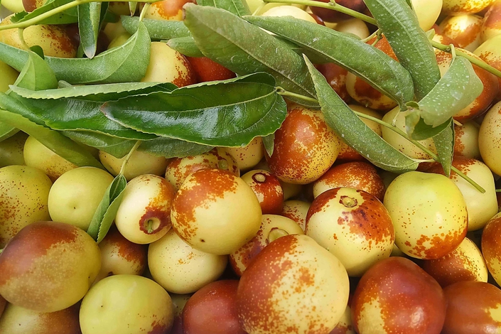 읙ܱO؃xСՃԃrȳrֵÓ