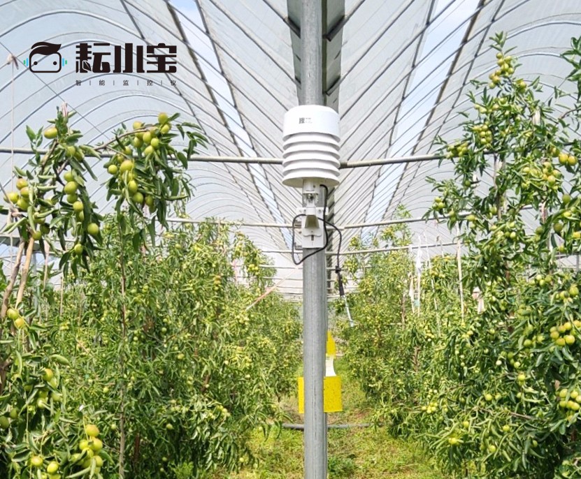 읙ܱO؃xСՃԃrȳrֵÓ