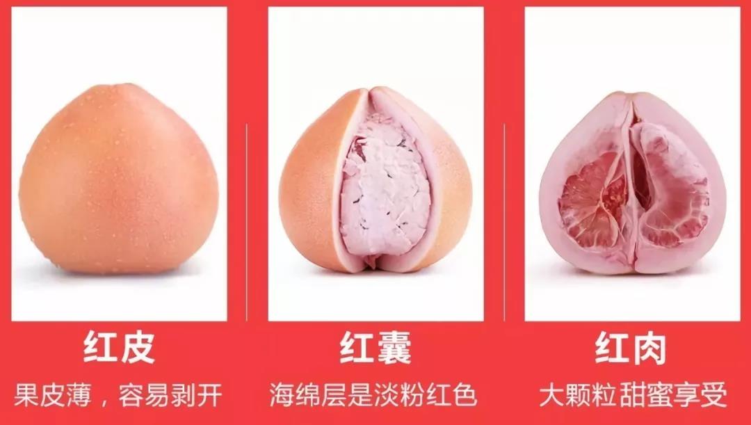 耘小寶服務智慧果業生產招牌果基地——福建三紅蜜柚,異常氣象提前預警 耘小寶服務智慧果業生產招牌果基地——福建三紅蜜柚,異常氣象提前預警