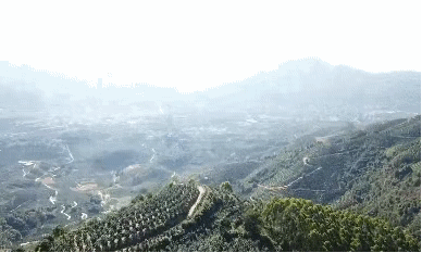 耘小寶服務智慧果業生產招牌果基地——福建三紅蜜柚,異常氣象提前預警 耘小寶服務智慧果業生產招牌果基地——福建三紅蜜柚,異常氣象提前預警