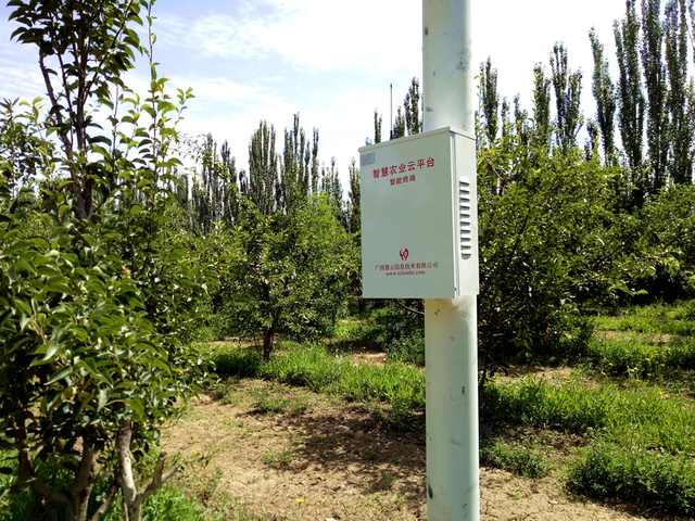 新疆庫爾勒香梨,智慧農業實現規模化、標準化