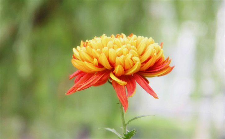 深度探究:網站用戶體驗受哪些因素影響1