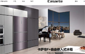 卡薩帝網站建設